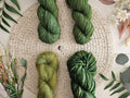 Fern