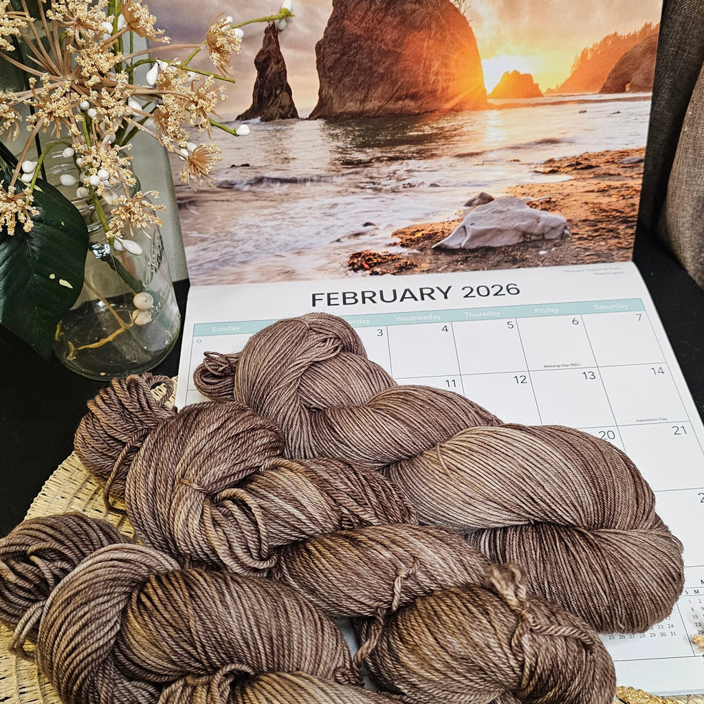 February - Rialto Beach || Timber and Tide Yarn Club 2026
