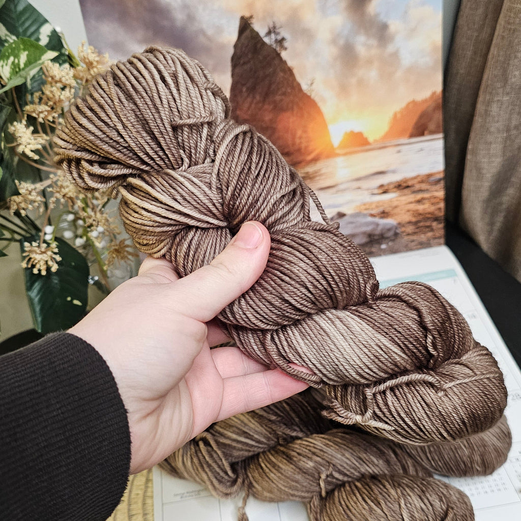February - Rialto Beach || Timber and Tide Yarn Club 2026