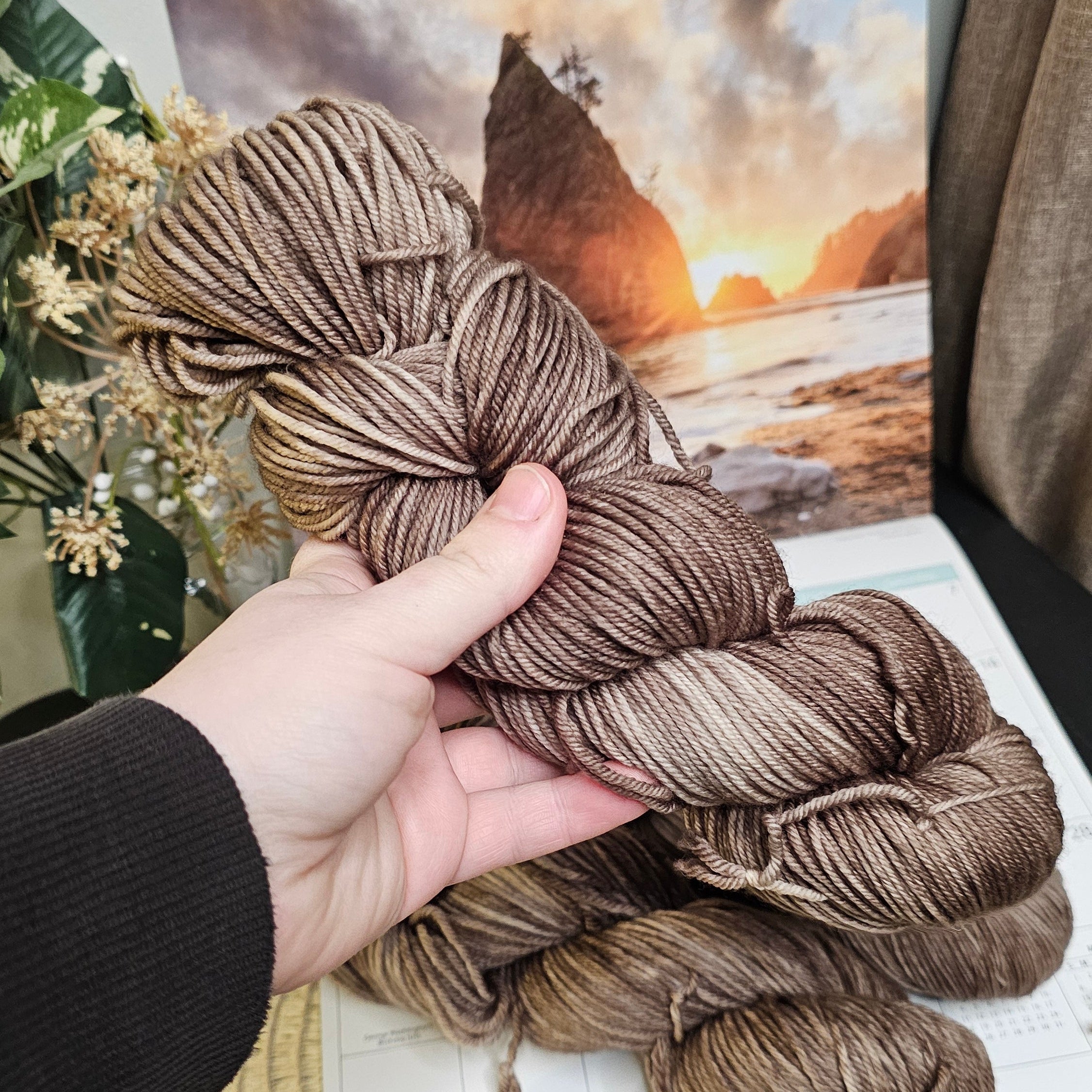 February - Rialto Beach || Timber and Tide Yarn Club 2026
