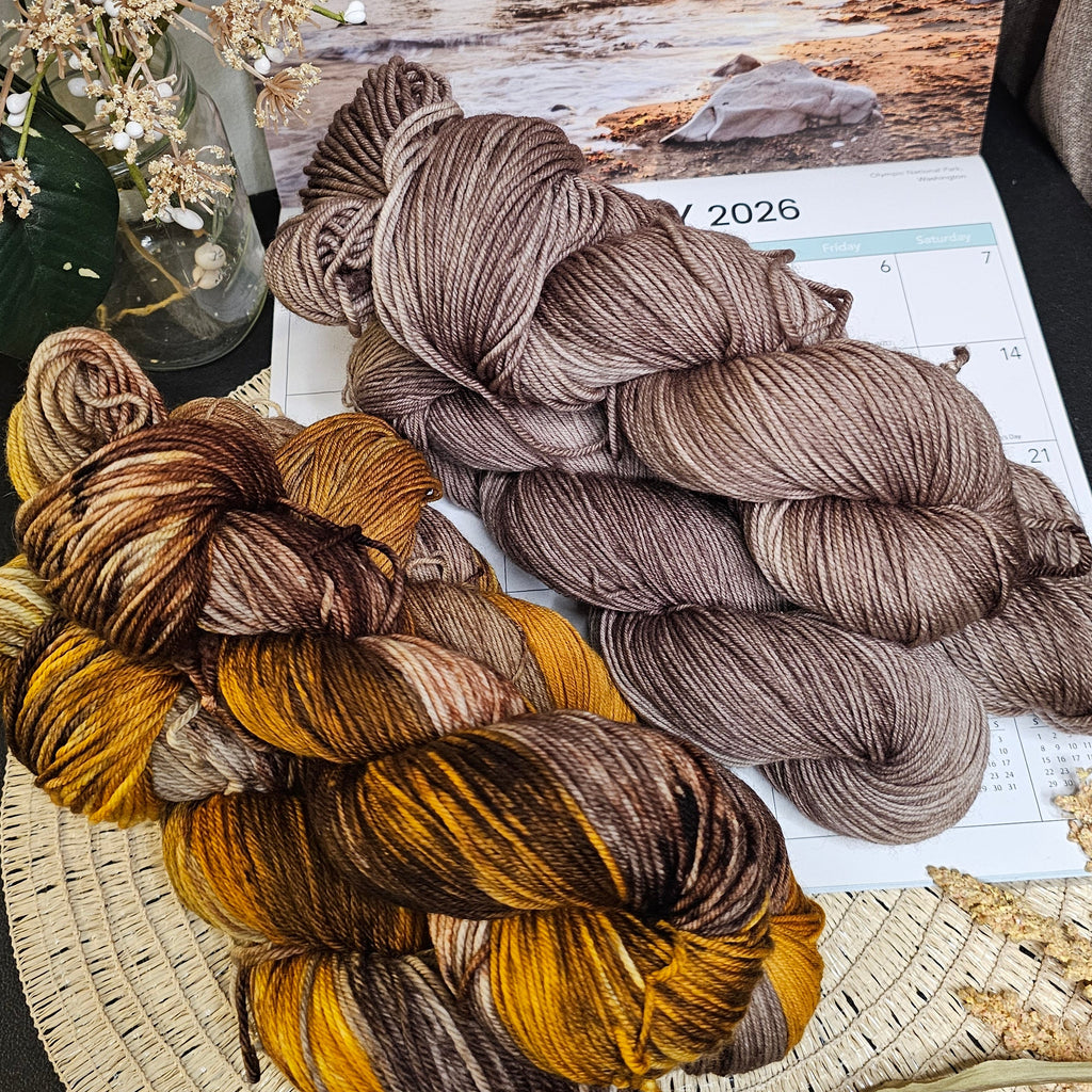 February - Rialto Beach || Timber and Tide Yarn Club 2026