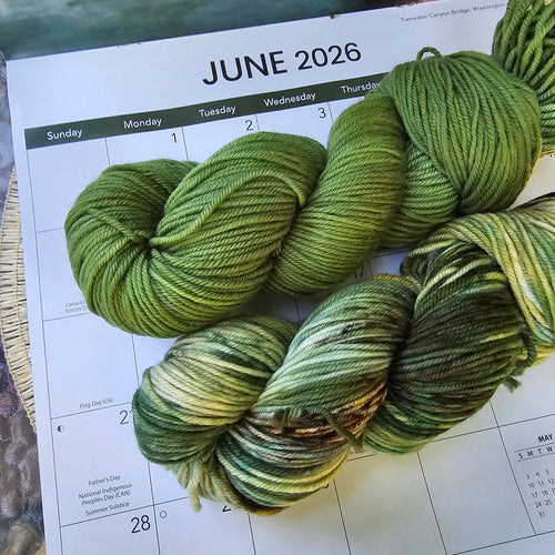 June || Timber and Tide Yarn Club 2026