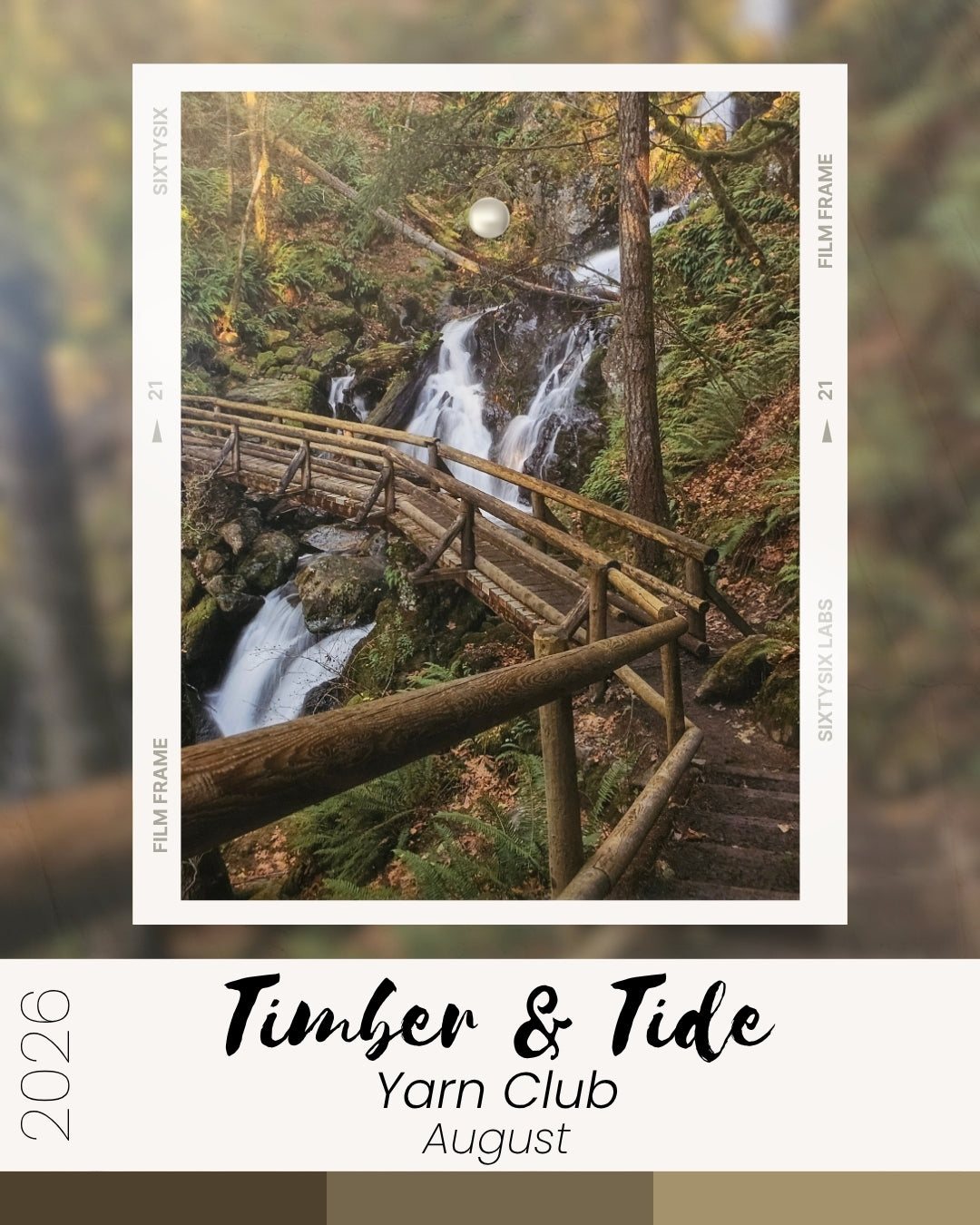 August || Timber and Tide Yarn Club 2026