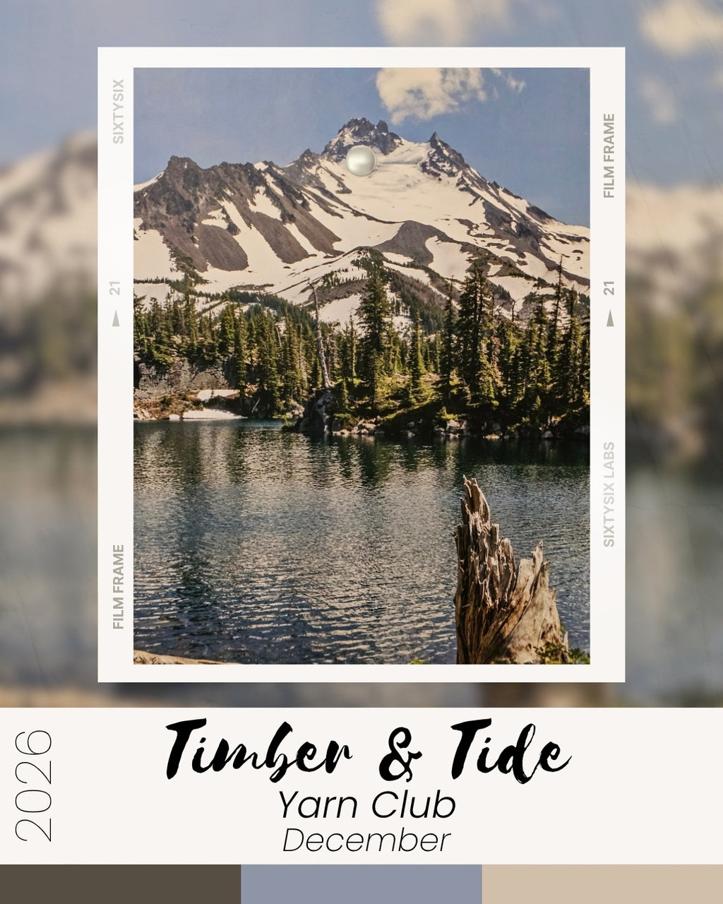 Timber and Tide Yarn Club 2026