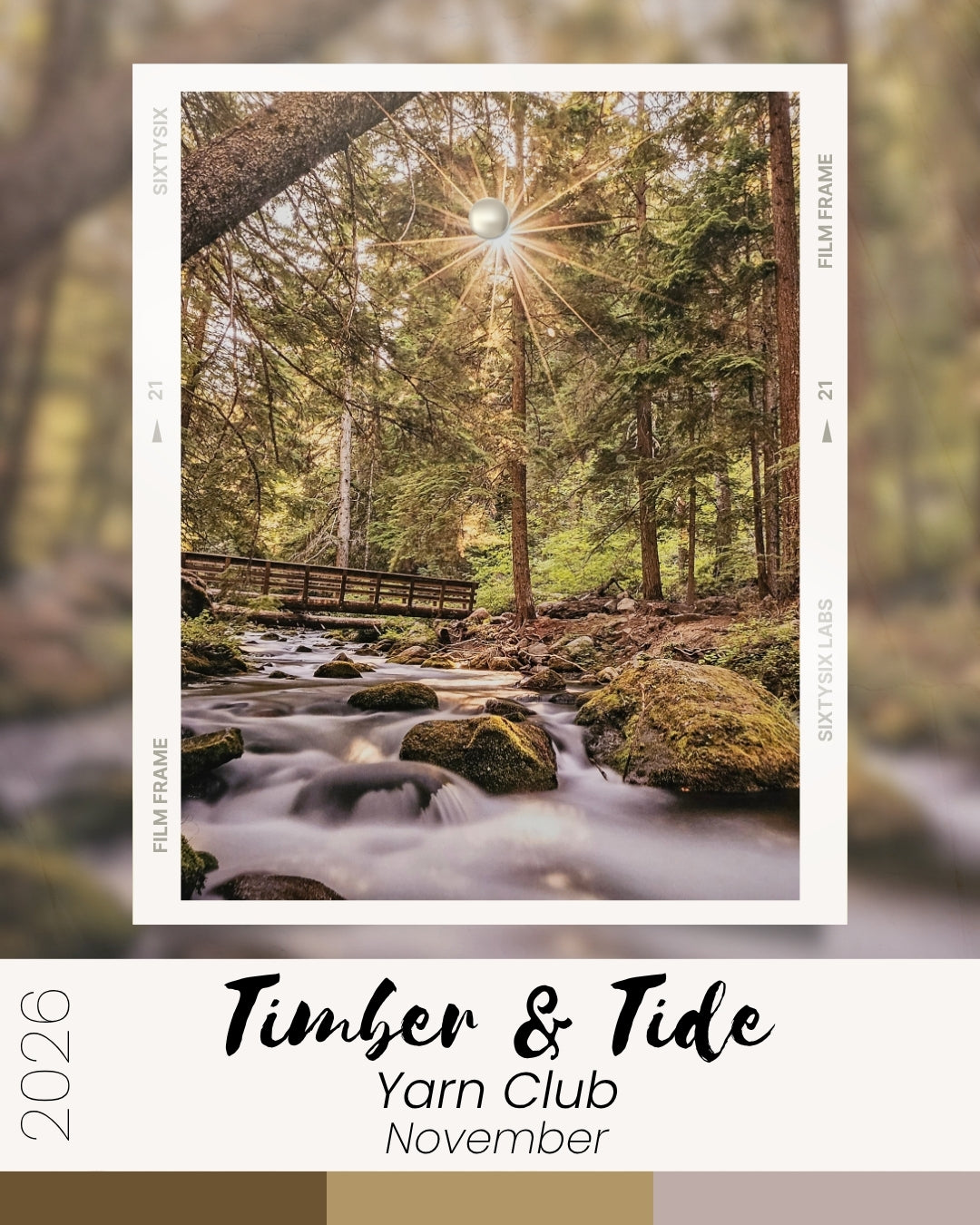 Timber and Tide Yarn Club 2026