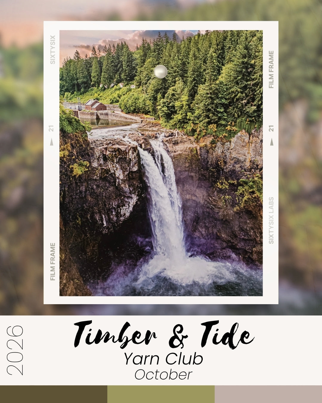 Timber and Tide Yarn Club 2026